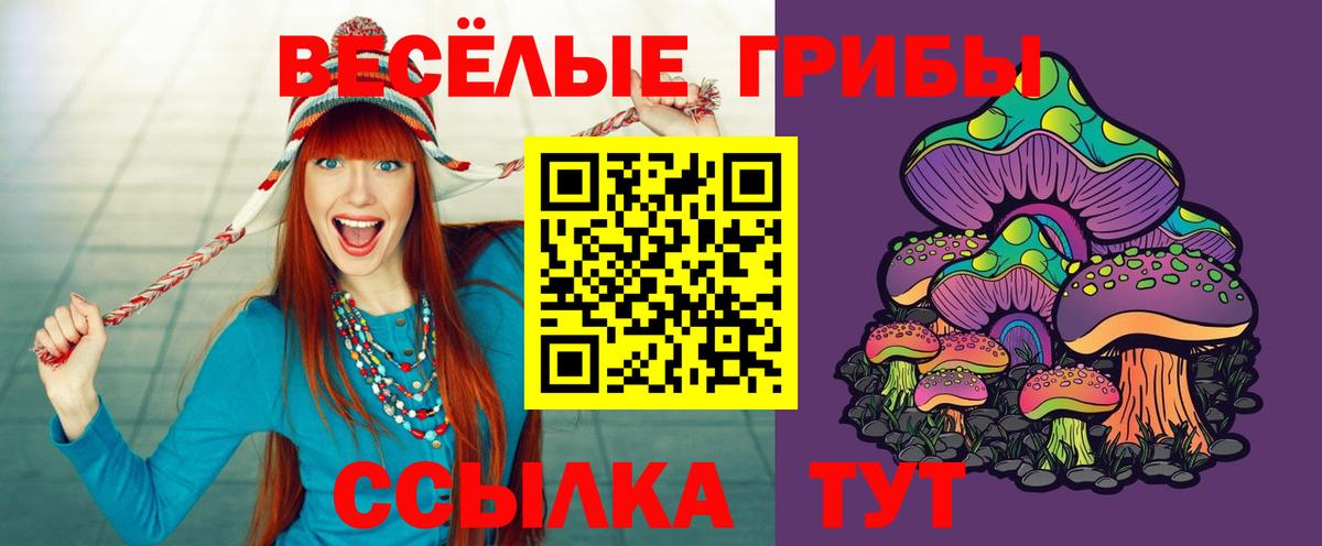 Галлюциногенные грибы Magic Shrooms  Вход с VPN  Галлюциногенные грибы прущие грибы  Северск 