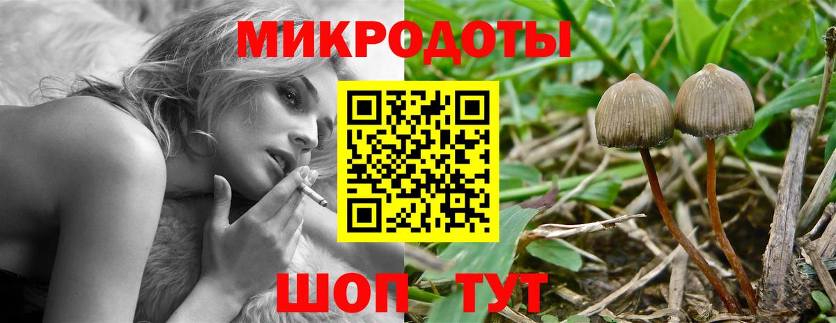 Псилоцибиновые грибы ЛСД Северск